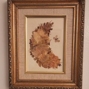 Vintage framed pressed flowers